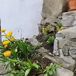 Hotel Alpin