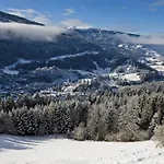 Alpin Ξενοδοχείο Murau