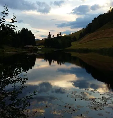 Hotel Alpin